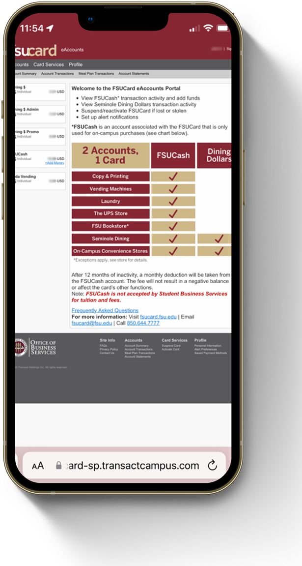 FSUCard eAccounts Main